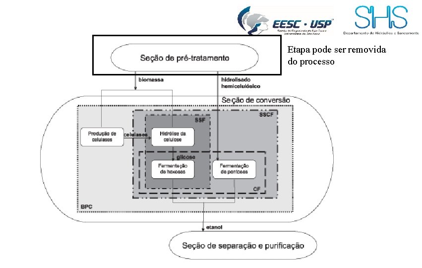 Etapa pode ser removida do processo 