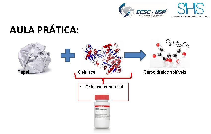 AULA PRÁTICA: Papel Celulase • Celulase comercial Carboidratos solúveis 