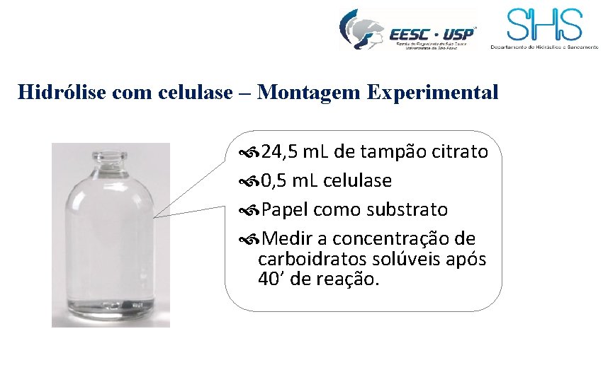 Hidrólise com celulase – Montagem Experimental 24, 5 m. L de tampão citrato 0,
