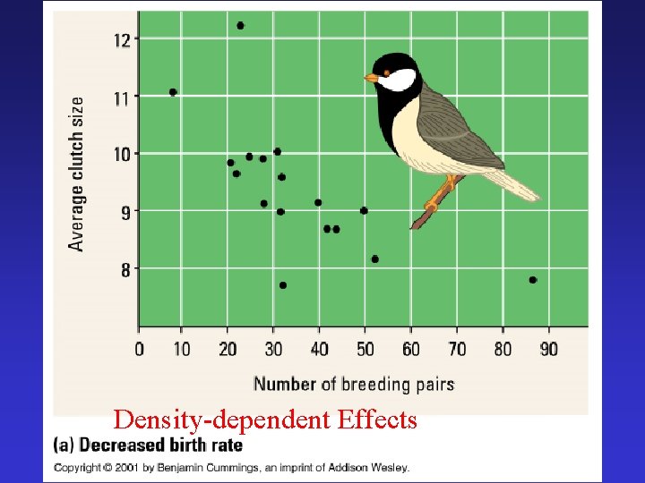 Density-dependent Effects 