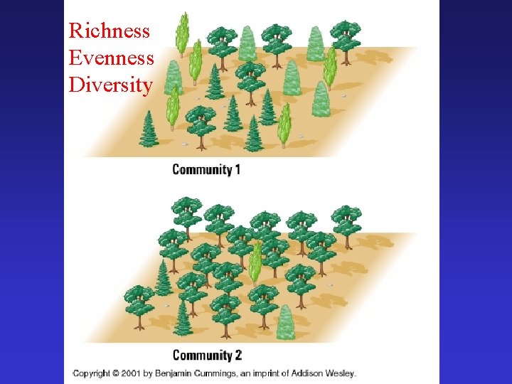 Richness Evenness Diversity 
