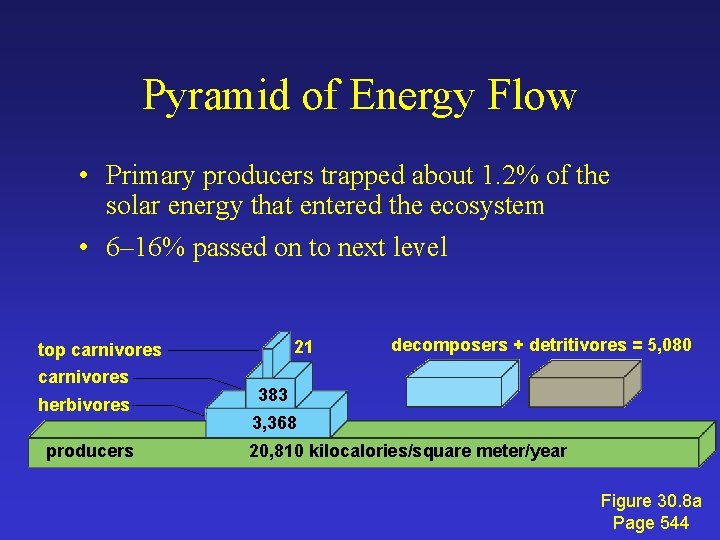 Pyramid of Energy Flow • Primary producers trapped about 1. 2% of the solar