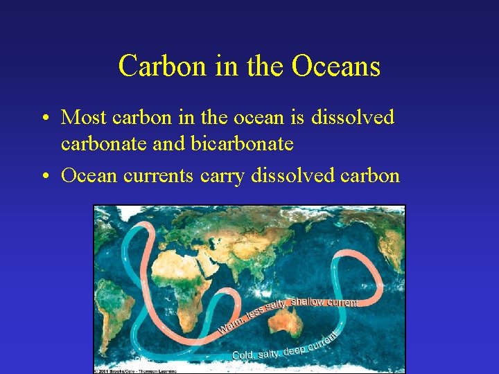 Carbon in the Oceans • Most carbon in the ocean is dissolved carbonate and
