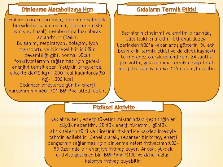 Emilim sonrası durumda, dinlenme halindeki bireyde harcanan enerji, dinlenme (eski ismiyle, bazal) metabolizma hızı