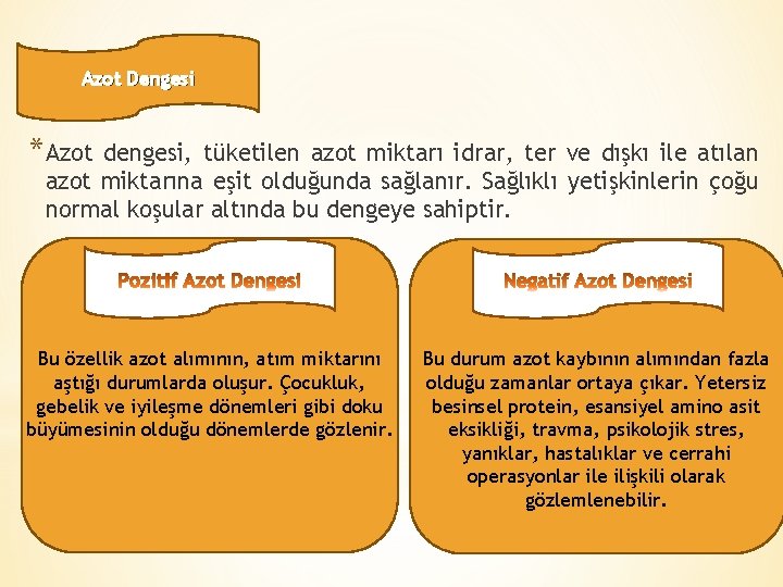 Azot Dengesi *Azot dengesi, tüketilen azot miktarı idrar, ter ve dışkı ile atılan azot