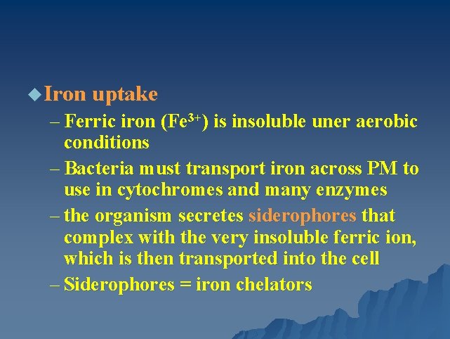 u Iron uptake – Ferric iron (Fe 3+) is insoluble uner aerobic conditions –