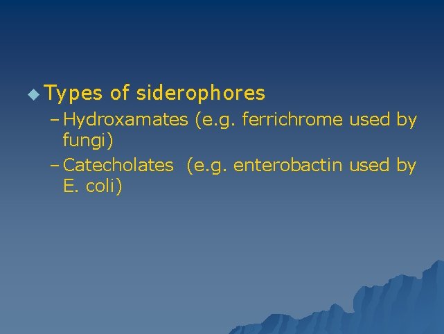 u Types of siderophores – Hydroxamates (e. g. ferrichrome used by fungi) – Catecholates