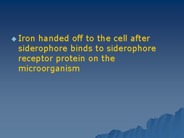 u Iron handed off to the cell after siderophore binds to siderophore receptor protein