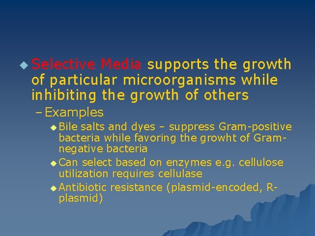 u Selective Media supports the growth of particular microorganisms while inhibiting the growth of