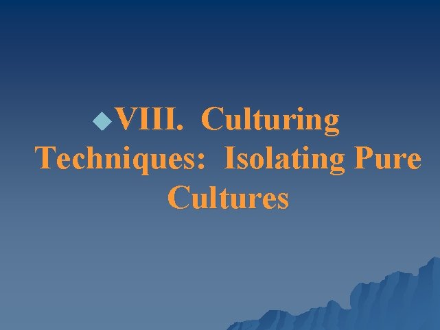 u. VIII. Culturing Techniques: Isolating Pure Cultures 