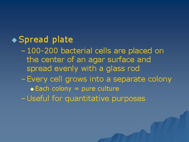 u Spread plate – 100 -200 bacterial cells are placed on the center of