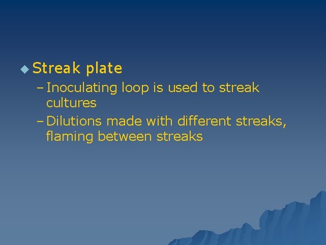 u Streak plate – Inoculating loop is used to streak cultures – Dilutions made