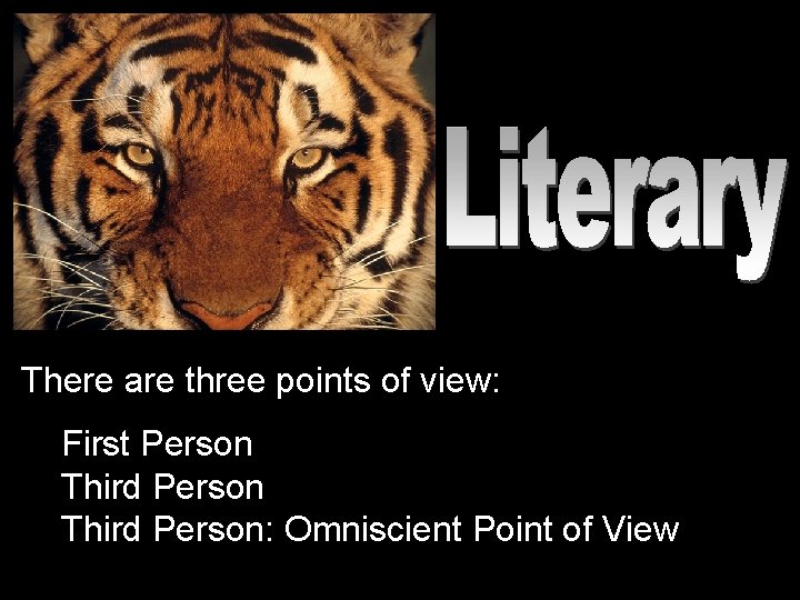 There are three points of view: First Person Third Person: Omniscient Point of View