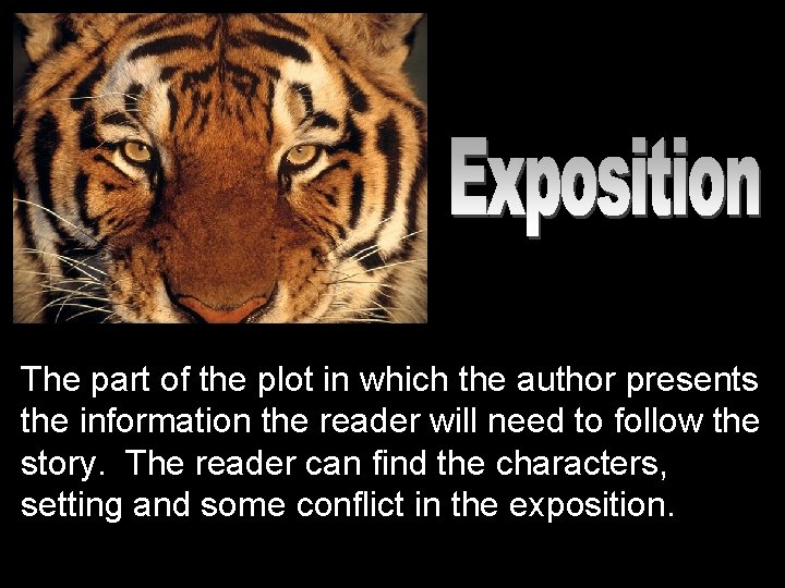 The part of the plot in which the author presents the information the reader