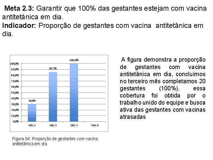 Meta 2. 3: Garantir que 100% das gestantes estejam com vacina antitetânica em dia.