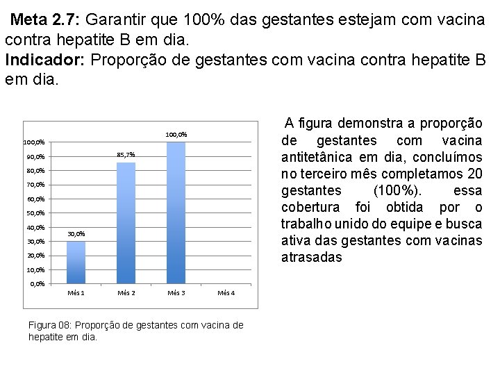 Meta 2. 7: Garantir que 100% das gestantes estejam com vacina contra hepatite B