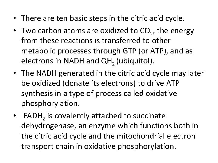  • There are ten basic steps in the citric acid cycle. • Two