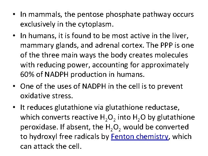  • In mammals, the pentose phosphate pathway occurs exclusively in the cytoplasm. •