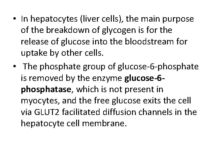  • In hepatocytes (liver cells), the main purpose of the breakdown of glycogen