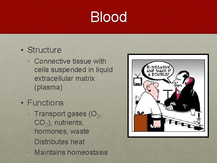 Blood • Structure • Connective tissue with cells suspended in liquid extracellular matrix (plasma) Blood • Structure • Connective tissue with cells suspended in liquid extracellular matrix (plasma)