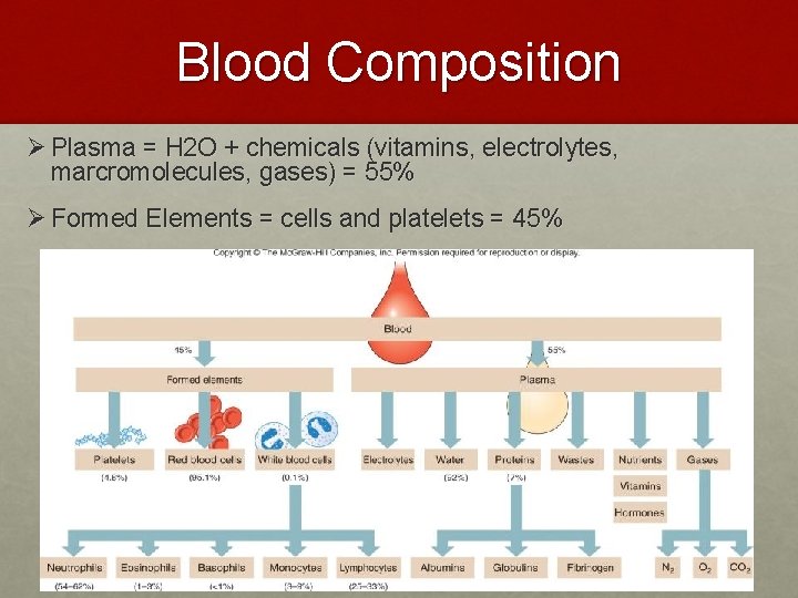 Blood Composition Ø Plasma = H 2 O + chemicals (vitamins, electrolytes, marcromolecules, gases) Blood Composition Ø Plasma = H 2 O + chemicals (vitamins, electrolytes, marcromolecules, gases)