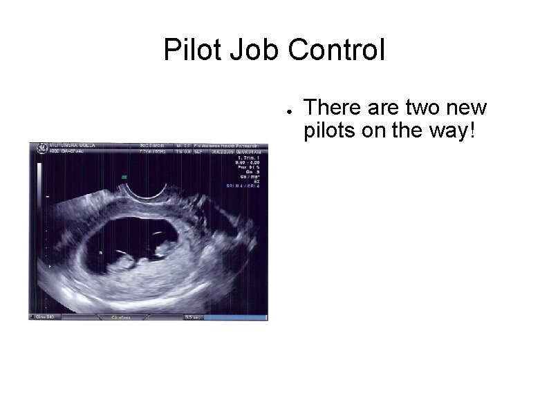 Pilot Job Control ● There are two new pilots on the way! 