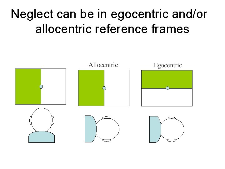 Neglect can be in egocentric and/or allocentric reference frames 