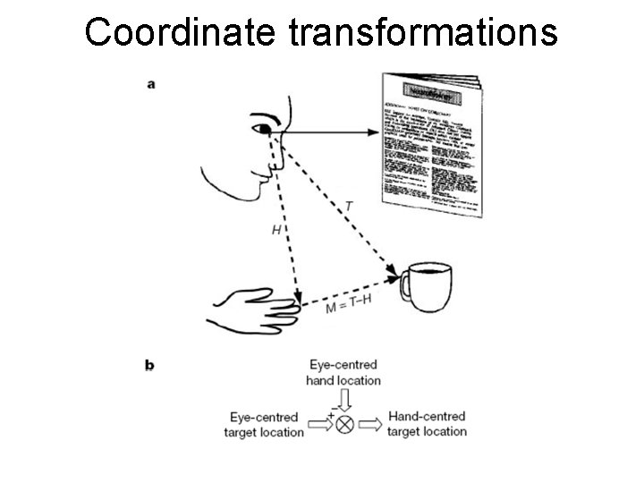 Coordinate transformations 