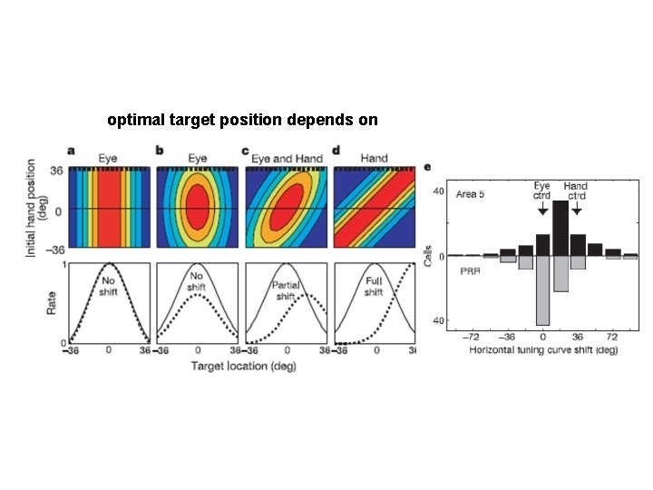 optimal target position depends on 