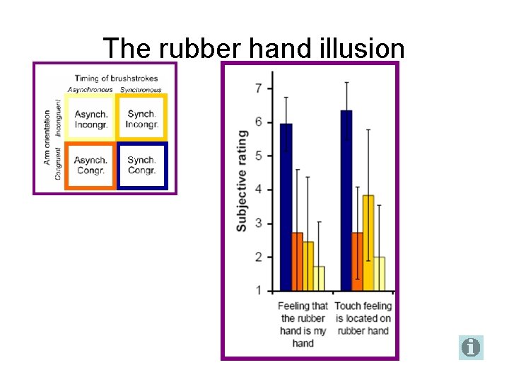 The rubber hand illusion 