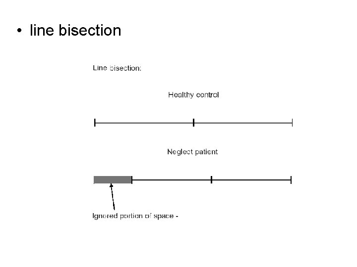  • line bisection 