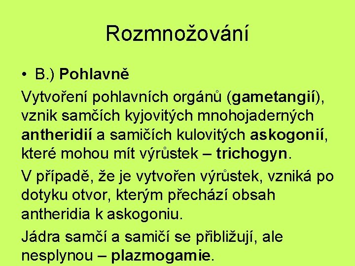 Rozmnožování • B. ) Pohlavně Vytvoření pohlavních orgánů (gametangií), vznik samčích kyjovitých mnohojaderných antheridií