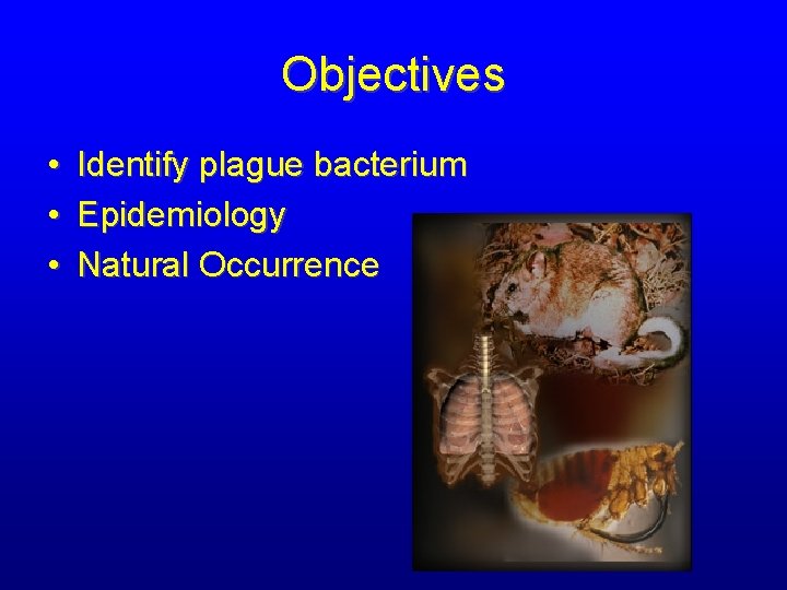 Objectives • • • Identify plague bacterium Epidemiology Natural Occurrence 