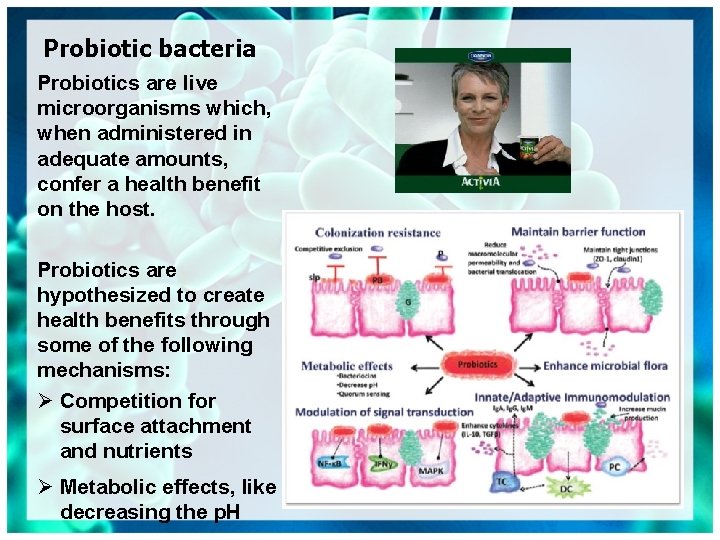 Probiotic bacteria Probiotics are live microorganisms which, when administered in adequate amounts, confer a