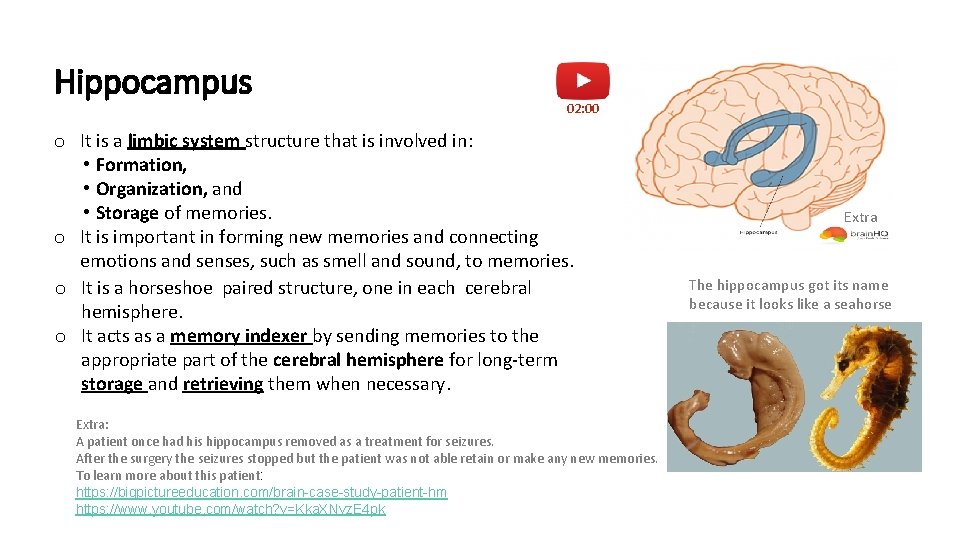 Hippocampus 02: 00 o It is a limbic system structure that is involved in: