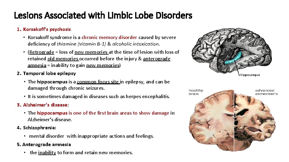 Lesions Associated with Limbic Lobe Disorders 1. Korsakoff’s psychosis • Korsakoff syndrome is a