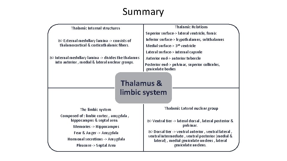 Summary Thalamic Internal structures External medullary lamina -> consists of thalamocortical & corticothalamic fibers.