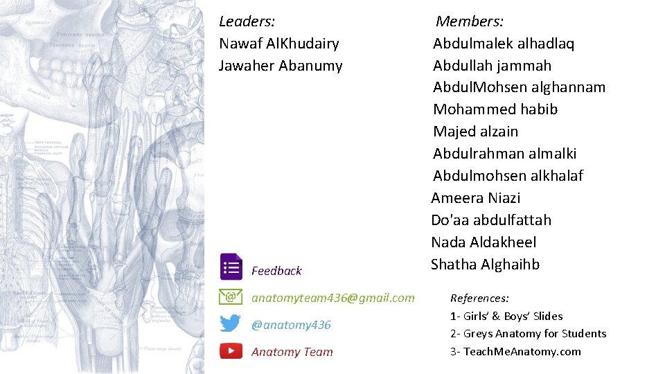 Leaders: Nawaf Al. Khudairy Jawaher Abanumy Feedback anatomyteam 436@gmail. com @anatomy 436 Anatomy Team