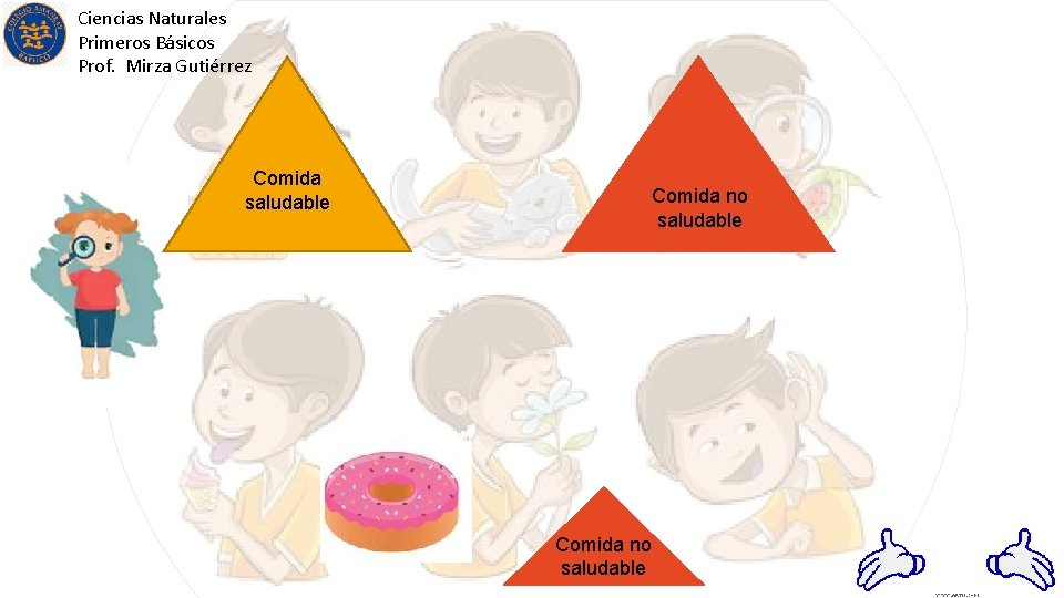 Ciencias Naturales Primeros Básicos Prof. Mirza Gutiérrez Comida saludable Comida no saludable 