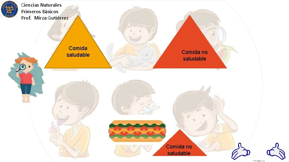 Ciencias Naturales Primeros Básicos Prof. Mirza Gutiérrez Comida saludable Comida no saludable 