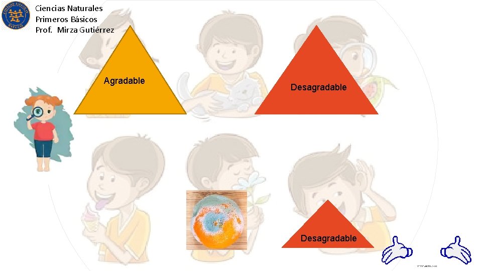 Ciencias Naturales Primeros Básicos Prof. Mirza Gutiérrez Agradable Desagradable 