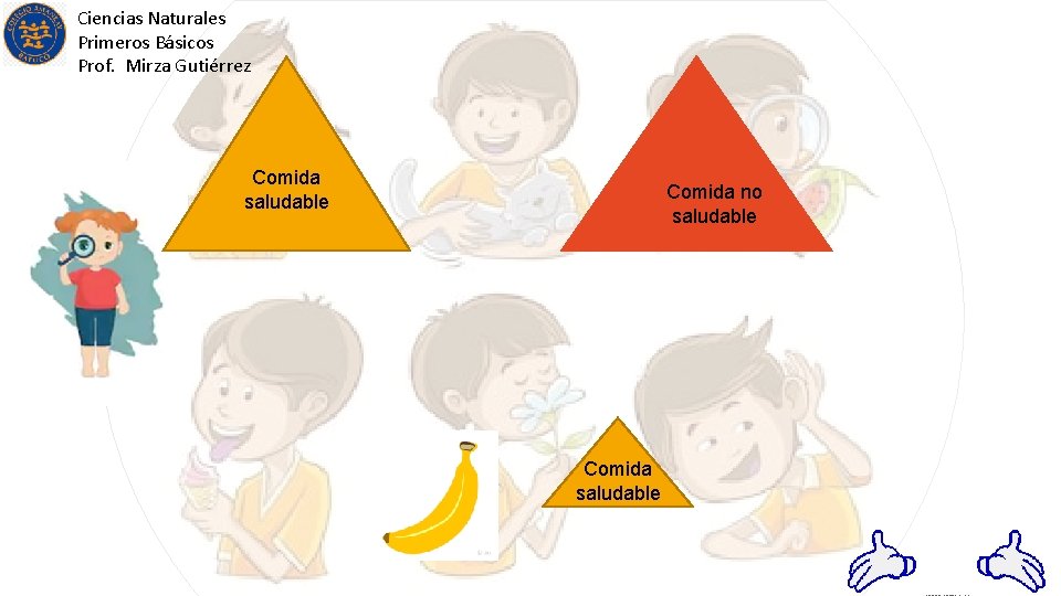 Ciencias Naturales Primeros Básicos Prof. Mirza Gutiérrez Comida saludable Comida no saludable Comida saludable