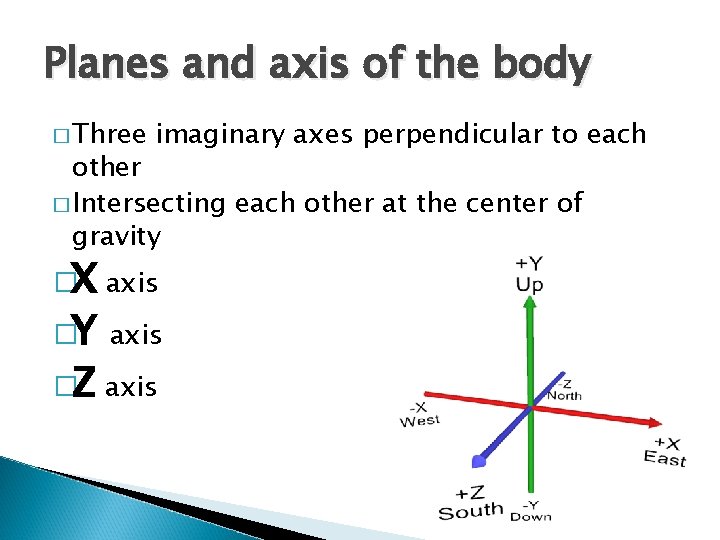 Planes and axis of the body � Three imaginary axes perpendicular to each other