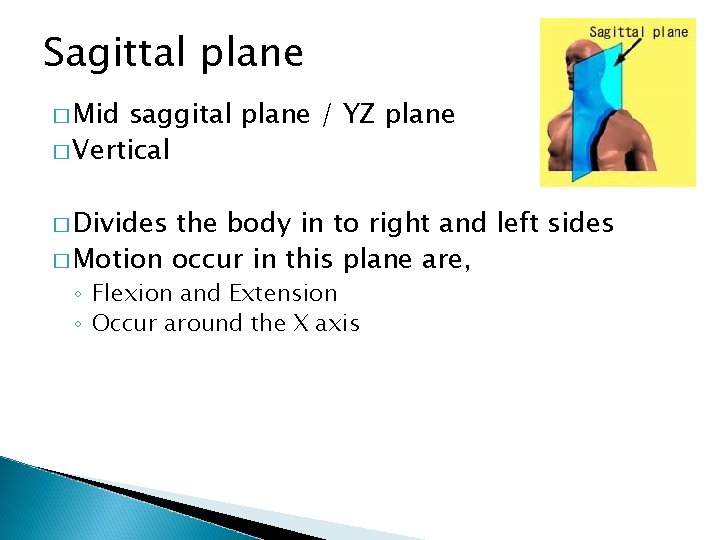 Sagittal plane � Mid saggital plane / YZ plane � Vertical � Divides the