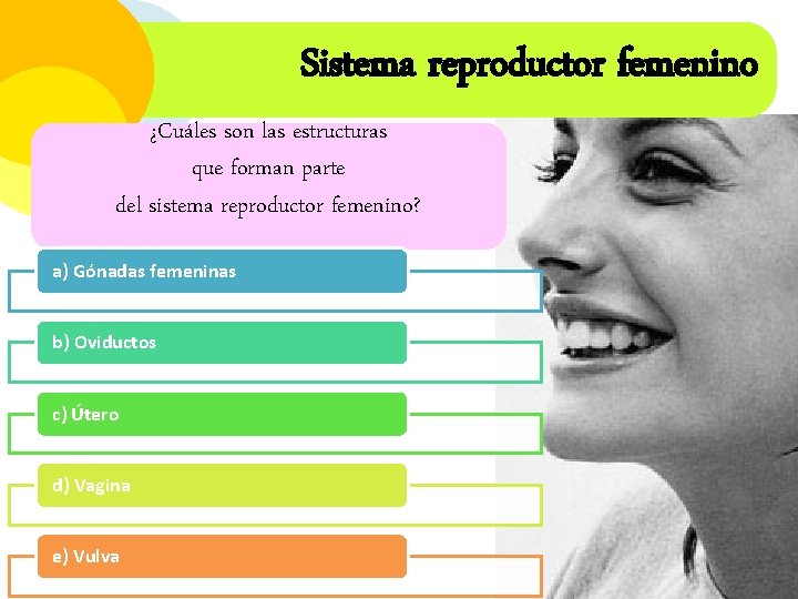 Sistema reproductor femenino ¿Cuáles son las estructuras que forman parte del sistema reproductor femenino?