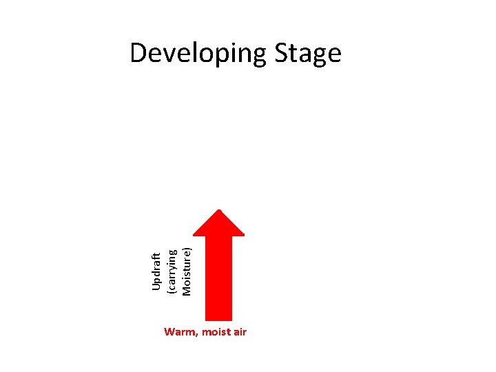 Updraft (carrying Moisture) Developing Stage Warm, moist air 