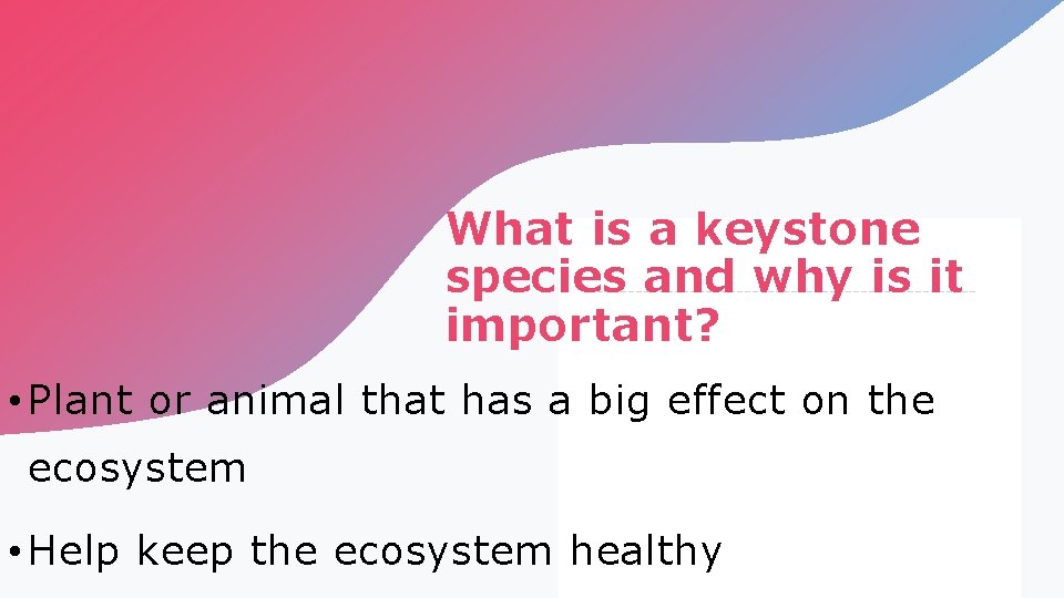 What is a keystone species and why is it important? • Plant or animal