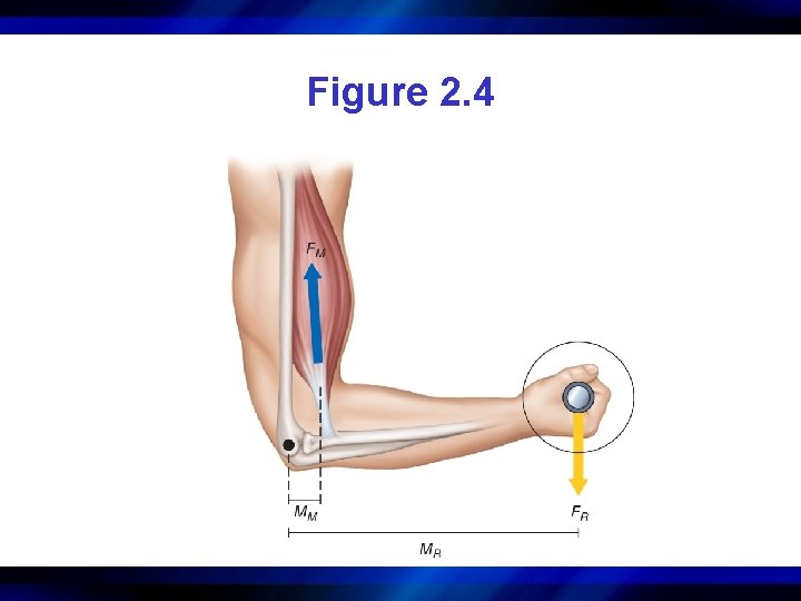 Figure 2. 4 