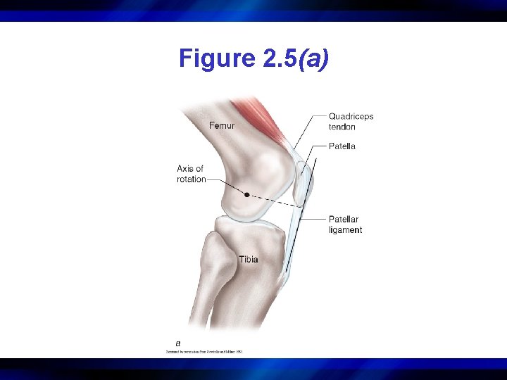 Figure 2. 5(a) 