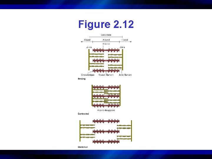 Figure 2. 12 